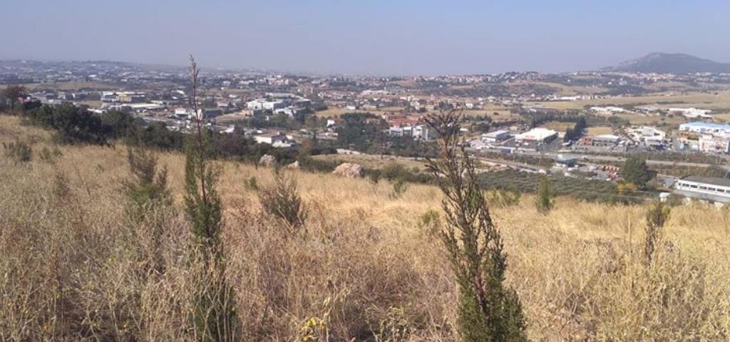 How an area of 3,000sqm  in Efkarpia will be transformed into an urban forest How an area of 3,000sqm  in Efkarpia will be transformed into an urban forest